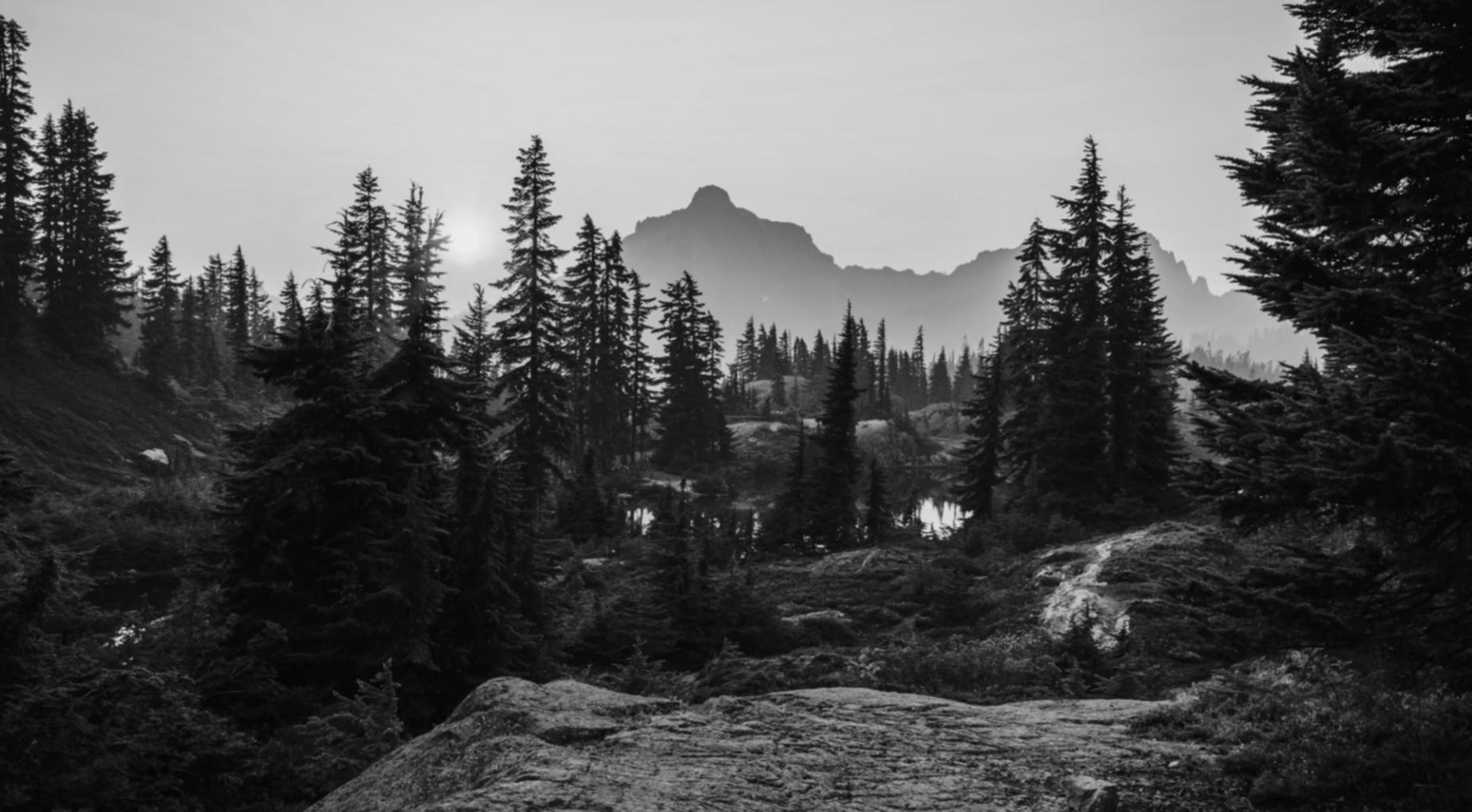 Современный туристический автобус на живописном маршруте